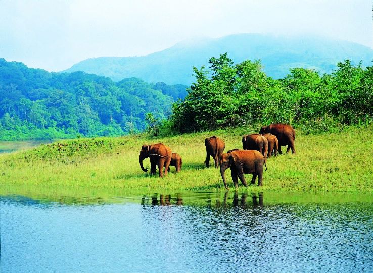 6- Periyar Wild Life Sanctuary